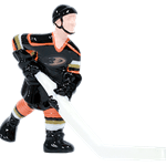 Anaheim Ducks